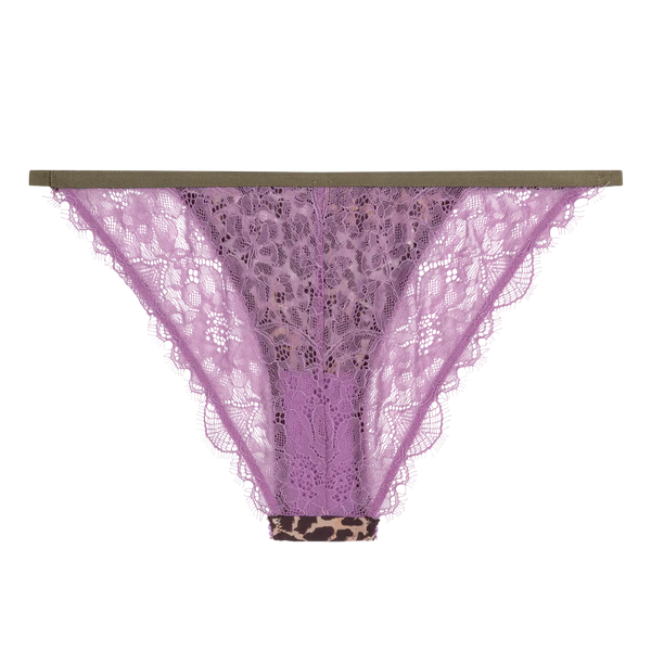 LOVE STORIES Wild rose